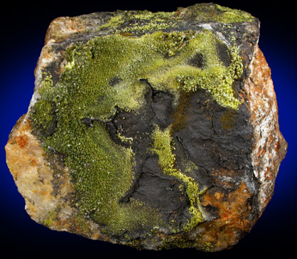 Pyromorphite, Mottramite, Vauquelinite from Allah Cooper (Valcooper) Mine, Contrary Creek District, near Mineral, Louisa County, Virginia