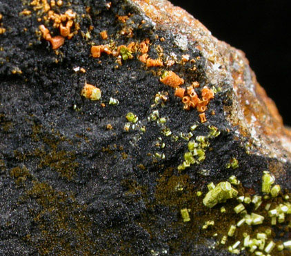 Pyromorphite, Mottramite, Vauquelinite from Allah Cooper (Valcooper) Mine, Contrary Creek District, near Mineral, Louisa County, Virginia