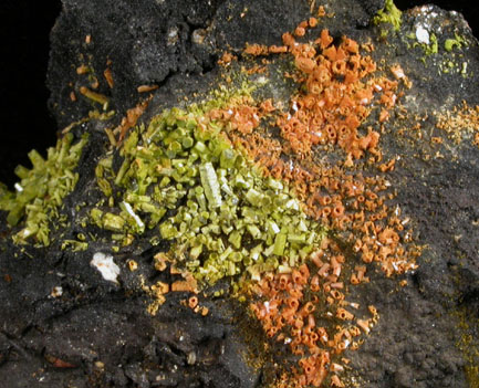 Pyromorphite, Mottramite, Vanadinite, Vauquelinite from Allah Cooper (Valcooper) Mine, Contrary Creek District, near Mineral, Louisa County, Virginia