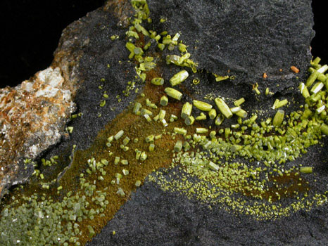 Pyromorphite, Mottramite, Vanadinite, Vauquelinite from Allah Cooper (Valcooper) Mine, Contrary Creek District, near Mineral, Louisa County, Virginia