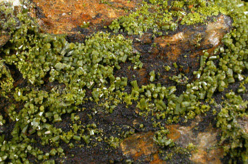 Pyromorphite, Mottramite, Vauquelinite from Allah Cooper (Valcooper) Mine, Contrary Creek District, near Mineral, Louisa County, Virginia