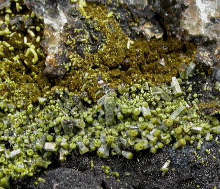 Pyromorphite, Mottramite, Vauquelinite from Allah Cooper (Valcooper) Mine, Contrary Creek District, near Mineral, Louisa County, Virginia