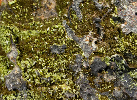 Pyromorphite, Mottramite, Vauquelinite from Allah Cooper (Valcooper) Mine, Contrary Creek District, near Mineral, Louisa County, Virginia