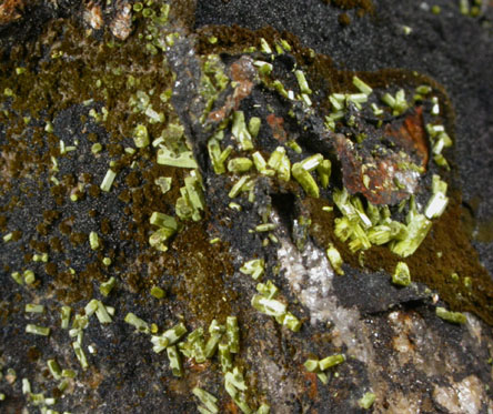 Pyromorphite, Mottramite, Vauquelinite from Allah Cooper (Valcooper) Mine, Contrary Creek District, near Mineral, Louisa County, Virginia