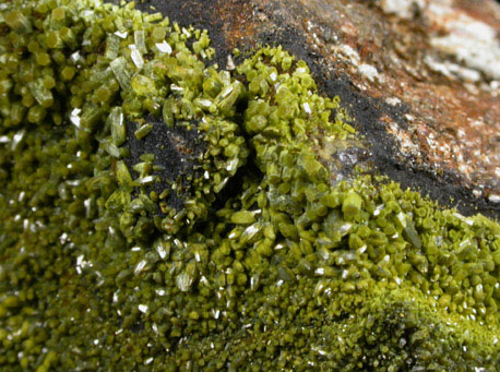 Pyromorphite, Mottramite, Vauquelinite from Allah Cooper (Valcooper) Mine, Contrary Creek District, near Mineral, Louisa County, Virginia