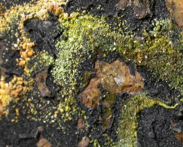 Vanadinite, Pyromorphite, Mottramite from Allah Cooper (Valcooper) Mine, Contrary Creek District, near Mineral, Louisa County, Virginia