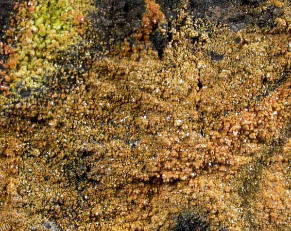 Vanadinite, Pyromorphite, Mottramite from Allah Cooper (Valcooper) Mine, Contrary Creek District, near Mineral, Louisa County, Virginia