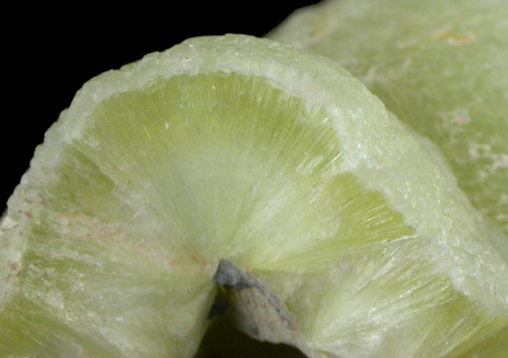 Wavellite from Montgomery County, Arkansas