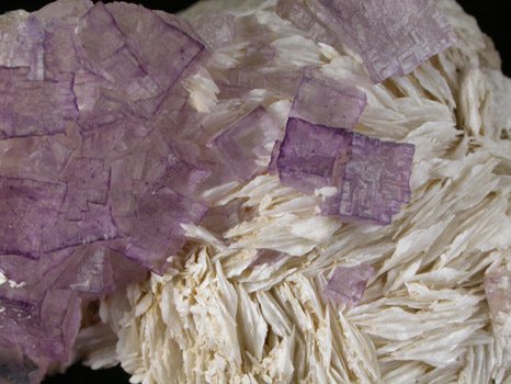 Fluorite on Barite from Caldwell Stone Quarry, Danville, Boyle County, Kentucky