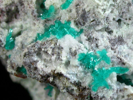 Dioptase with Willemite and Wulfenite from Mammoth-St. Anthony Mine, Tiger, Mammoth District, Pinal County, Arizona