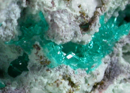 Dioptase with Willemite and Wulfenite from Mammoth-St. Anthony Mine, Tiger, Mammoth District, Pinal County, Arizona