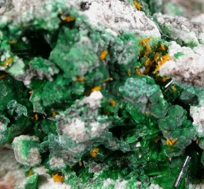 Torbernite and Kasolite from Musonoi Mine, Kolwezi District, Katanga Copperbelt, Lualaba Province, Democratic Republic of the Congo