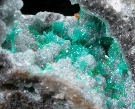 Dioptase on Willemite with Wulfenite from Mammoth-St. Anthony Mine, Tiger, Mammoth District, Pinal County, Arizona