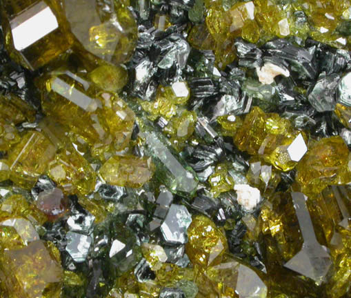 Epidote, Vesuvianite, Grossular, Clinochlore from Nuristan Province, Afghanistan