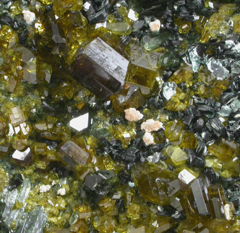 Epidote, Vesuvianite, Grossular, Clinochlore from Nuristan Province, Afghanistan