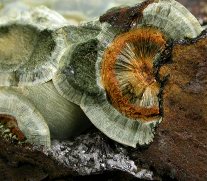 Kidwellite, Cacoxenite, Beraunite from Coon Creek Mine, Polk County, Arkansas