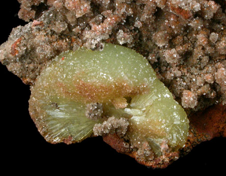 Adamite and Calcite from Mina Ojuela, Mapimi, Durango, Mexico