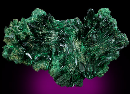 Atacamite with Halloysite from Copiapo, Atacama Desert, Chile (Type Locality for Atacamite)