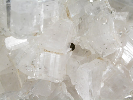 Apophyllite on Pectolite from Millington Quarry, Bernards Township, Somerset County, New Jersey