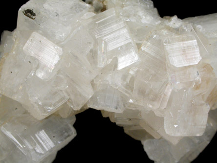 Apophyllite on Pectolite from Millington Quarry, Bernards Township, Somerset County, New Jersey