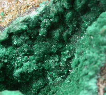 Malachite from (labeled as Olivenite on old French label), Cornwall, England