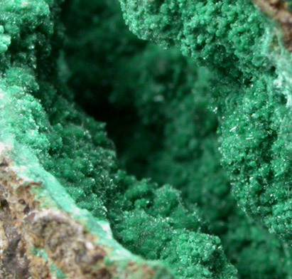 Malachite from (labeled as Olivenite on old French label), Cornwall, England