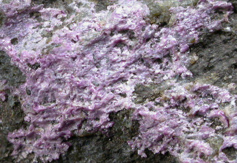 Stichtite from Barberton District, Mpumalanga, South Africa