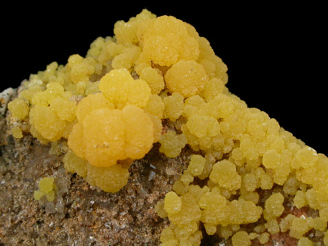 Mimetite from San Pedro Corralitos, Casas Grandes, Chihuahua, Mexico