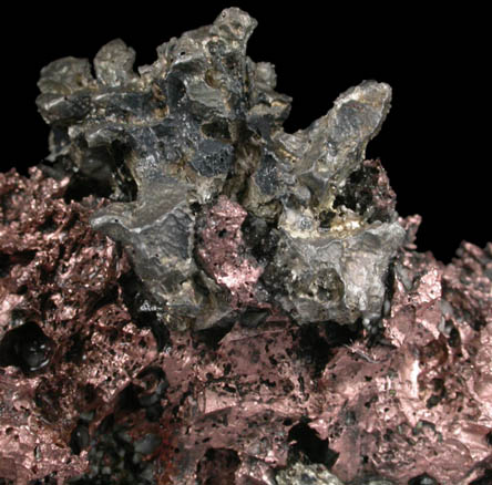 Silver and Copper var. Halfbreed from Keweenaw Peninsula Copper District, Michigan