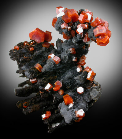 Vanadinite on Fe-Mn-oxide from Taouz, Errachidia, Meknes-Tafilalet, Morocco