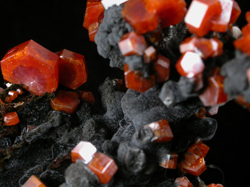 Vanadinite on Fe-Mn-oxide from Taouz, Errachidia, Meknes-Tafilalet, Morocco