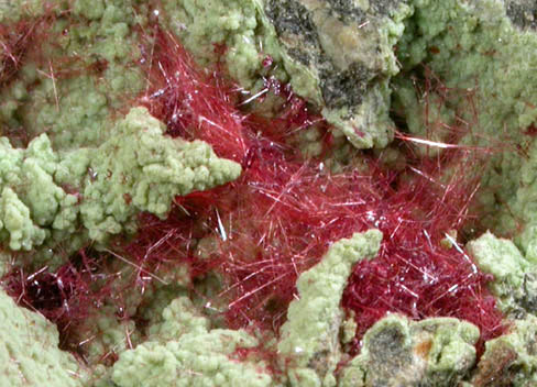 Cuprite var. Chalcotrichite from Ray Mine, Mineral Creek District, Pinal County, Arizona