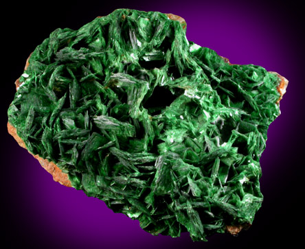 Torbernite from Musonoi Mine, Kolwezi District, Katanga Copperbelt, Lualaba Province, Democratic Republic of the Congo