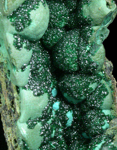 Malachite on Chrysocolla from L'Etoile du Congo Mine, Lubumbashi, Katanga Copperbelt, Haut-Katanga Province, Democratic Republic of the Congo