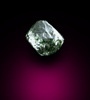 Diamond (0.07 carat green octahedral crystal) from Guaniamo, Bolivar Province, Venezuela