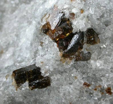 Dravite-Uvite Tourmaline in Inwood Marble from Inwood Hill, Manhattan Island, New York City, New York