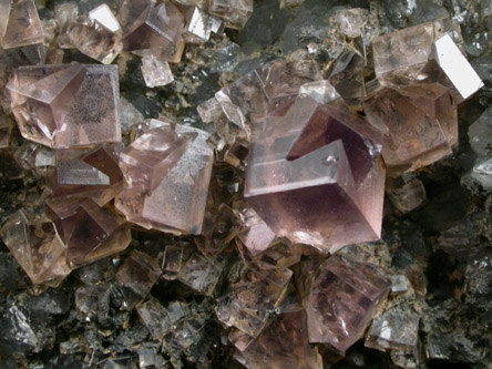 Fluorite (twinned crystals) from Newlandside Quarry, Stanhope, Weardale, County Durham, England