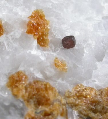 Chondrodite, Spinel, Graphite in Calcite from Warwick, Orange County, New York