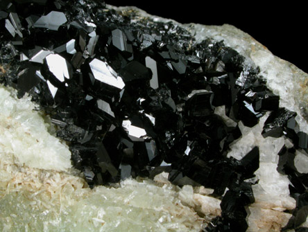 Babingtonite with Prehnite from Cheapside Quarry, Deerfield, Franklin County, Massachusetts