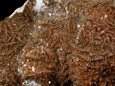 Vanadinite over Barite from Sierra de Los Lamentos, Chihuahua, Mexico