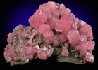 Rhodochrosite from Uchucchacua Mine, Oyon, Cajatambo, Peru