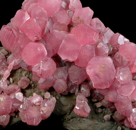 Rhodochrosite from Uchucchacua Mine, Oyon, Cajatambo, Peru