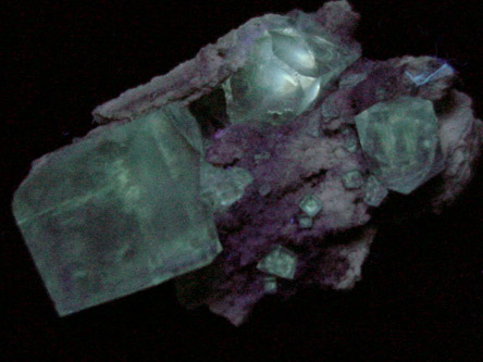 Fluorite on Limestone from May Stone Quarry, Fort Wayne, Allen County, Indiana