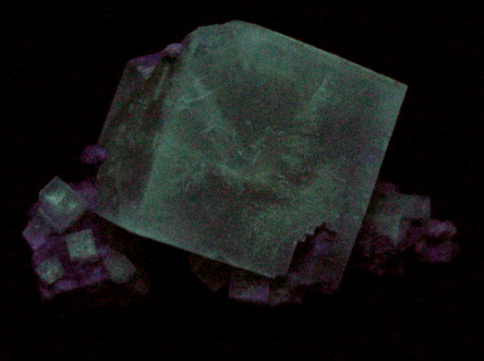 Fluorite on Limestone from May Stone Quarry, Fort Wayne, Allen County, Indiana