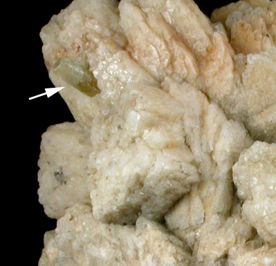 Albite, Columbite-(Fe), Beryl from Consolidated Quarry, Georgetown, Sagadahoc County, Maine