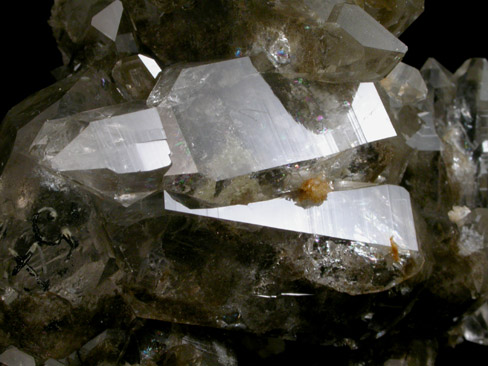 Quartz var. Smoky with Anatase from Siedelen Glacier, Furkhorn, Switzerland