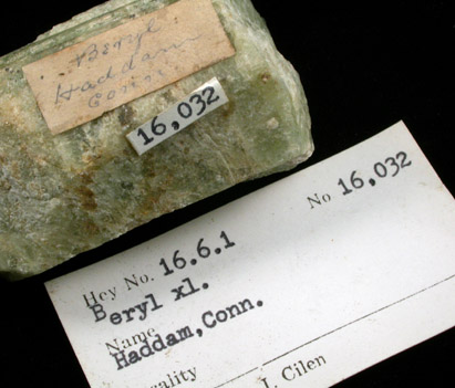 Beryl from Haddam, Middlesex County, Connecticut