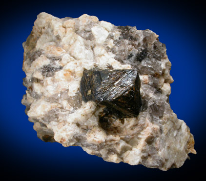 Magnetite from Route 9 road cut, Beaver Meadow Road exit, Haddam, Middlesex County, Connecticut