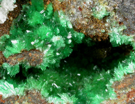 Annabergite from Kamareza Mine, Lavrion (Laurium) Mining District, Attica Peninsula, Greece