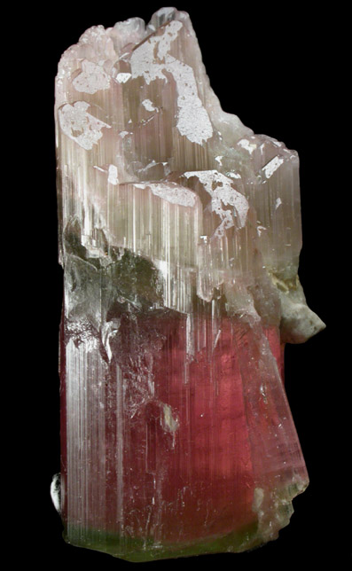 Elbaite var. Rubellite Tourmaline from Himalaya Mine, Mesa Grande District, San Diego County, California